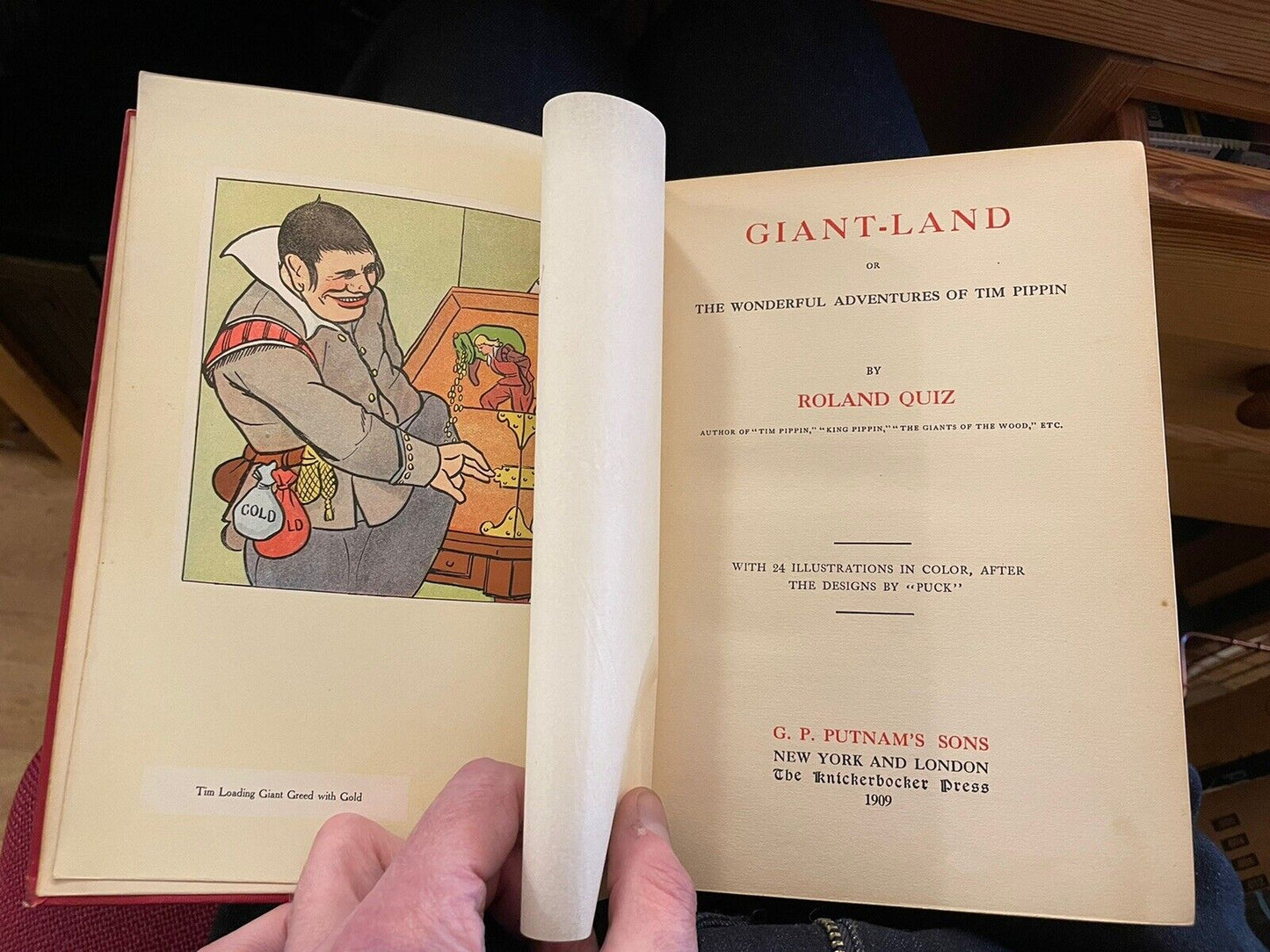 Giant-Land, or Adventures of Tim Pippin : Roland Quiz : 24 Colour Plates : 1st Edition 1909