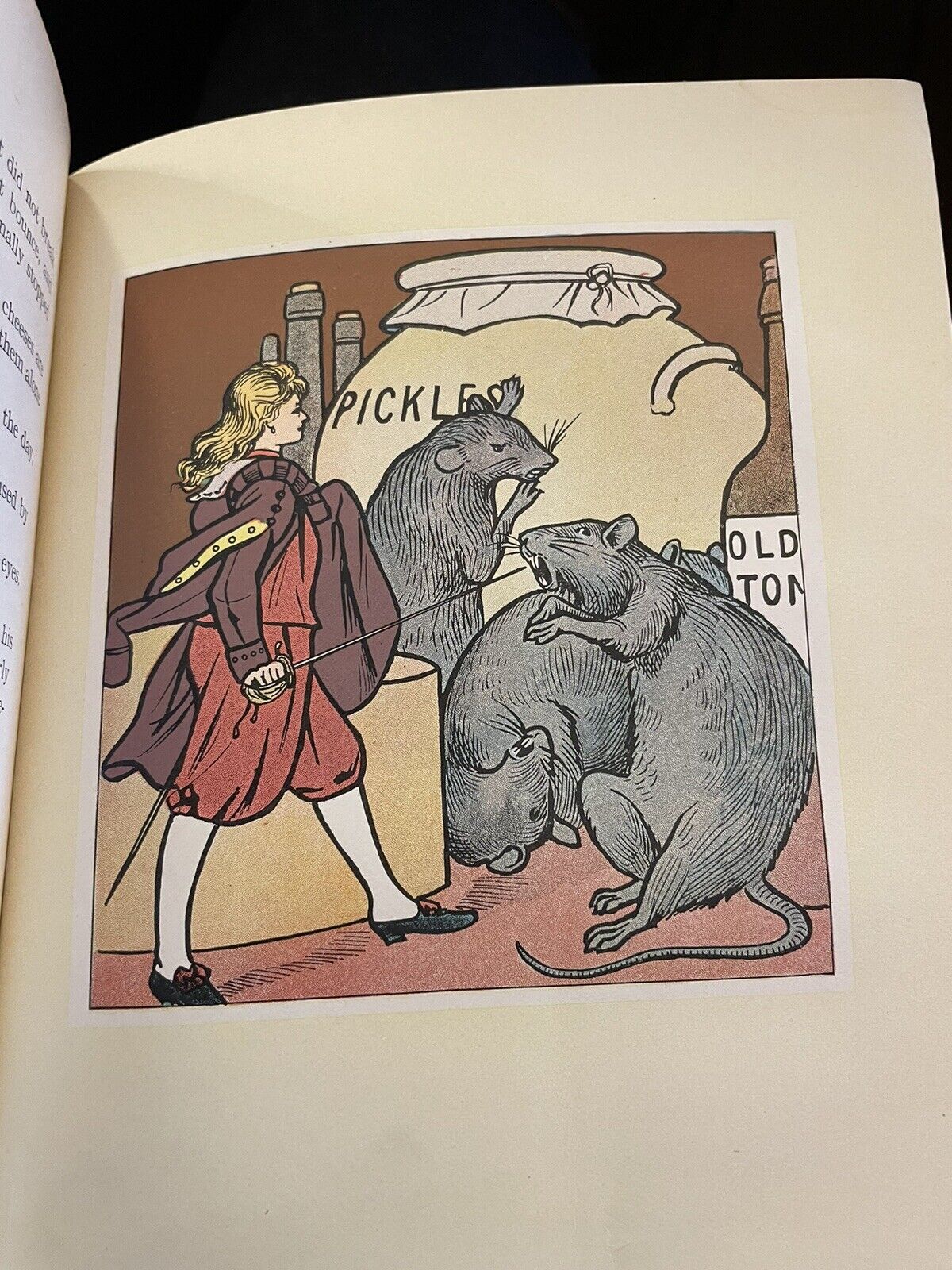 Giant-Land, or Adventures of Tim Pippin : Roland Quiz : 24 Colour Plates : 1st Edition 1909