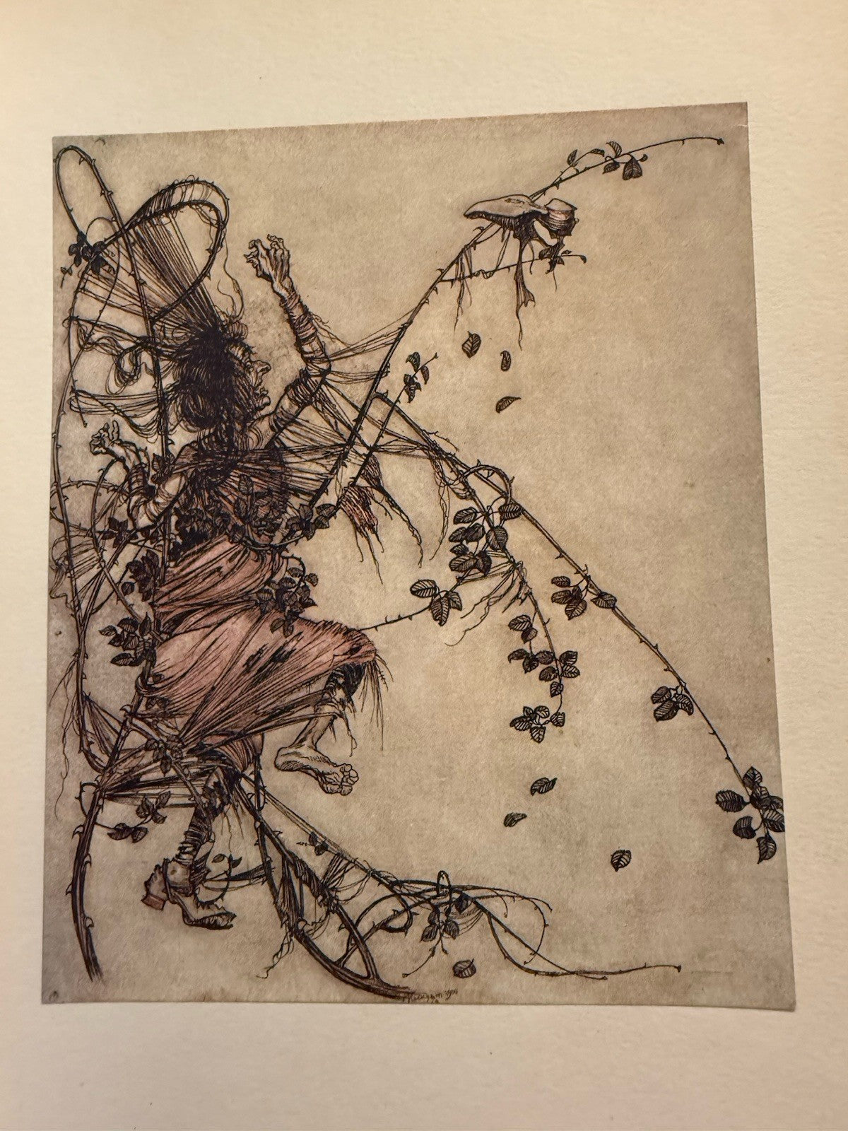 GRIMM'S FAIRY TALES 1909 FIRST EDITION ILLUSTRATED BY ARTHUR RACKHAM