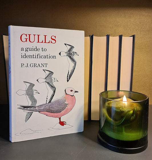 Gulls: A Guide to Identification, P.J. Grant: Signed: Hardback: Second Edition