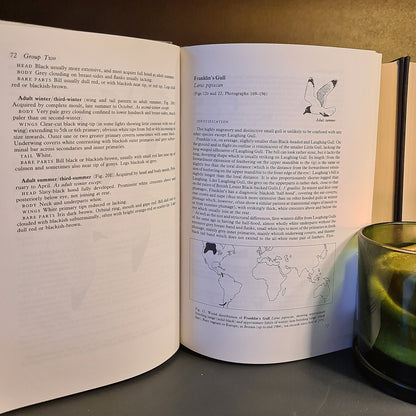 Gulls: A Guide to Identification, P.J. Grant: Signed: Hardback: Second Edition
