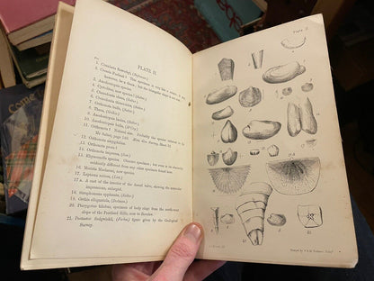 1865 On the Silurian Formation in the Pentland Hills :Edinburgh Geology