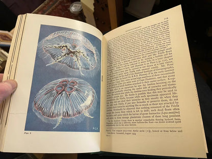 New Naturalist (NN) No 34 & 37 : The Open Sea : Sir Alister Hardy