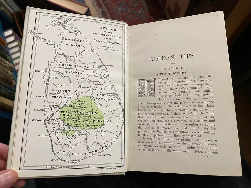 1904 Golden Tips; Ceylon and its Great Tea Industry : Henry W Cave : Sri Lanka