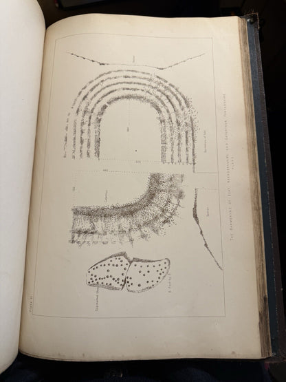 Hill Forts and Stone Circles and other Remains of Ancient Scotland : Maclagan