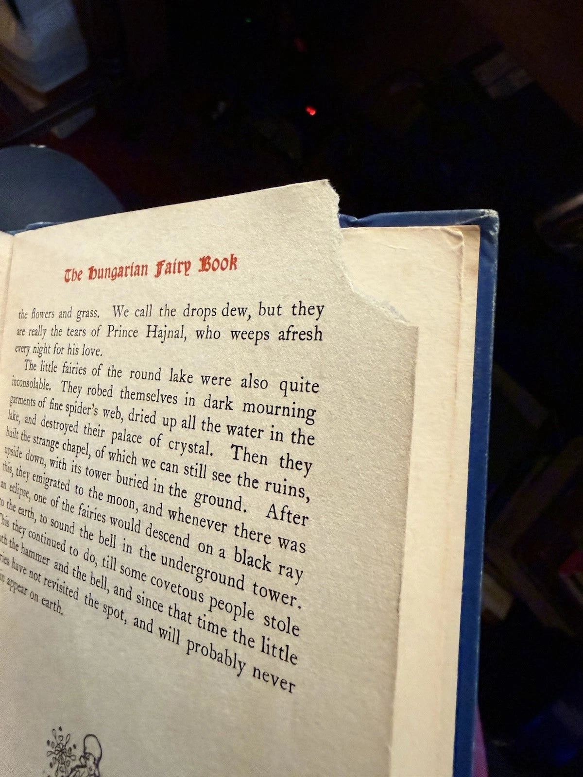 The Hungarian Fairy Book : Fiary Tales : Nandor and Willy Pogany : 1st Ed 1913