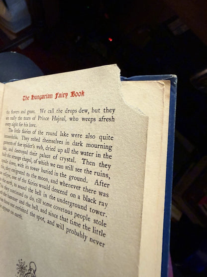 The Hungarian Fairy Book : Fiary Tales : Nandor and Willy Pogany : 1st Ed 1913