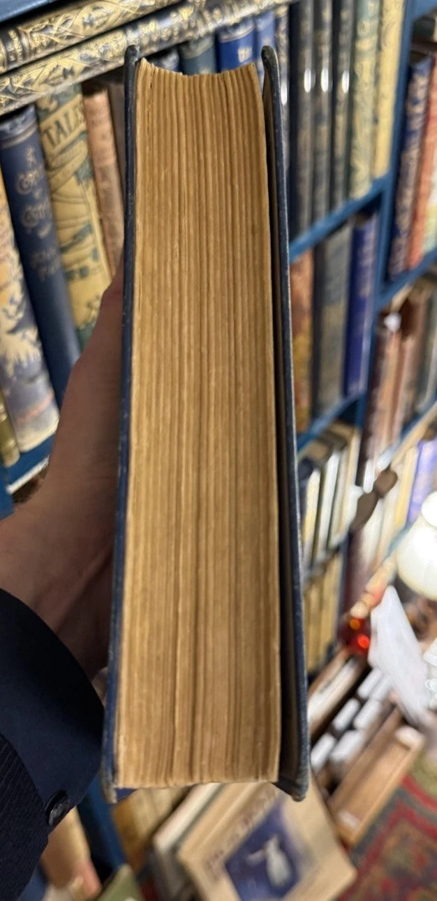 The Hungarian Fairy Book : Fiary Tales : Nandor and Willy Pogany : 1st Ed 1913