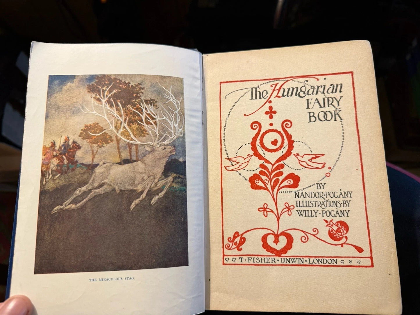 The Hungarian Fairy Book : Fiary Tales : Nandor and Willy Pogany : 1st Ed 1913