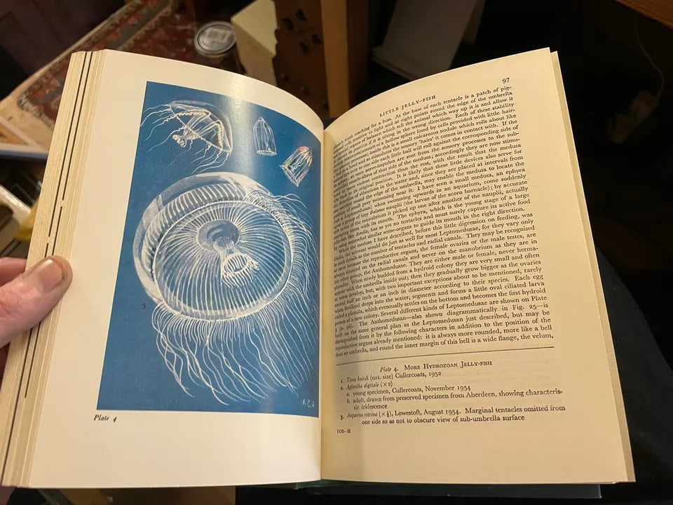 New Naturalist (NN) No 34 & 37 : The Open Sea : Sir Alister Hardy