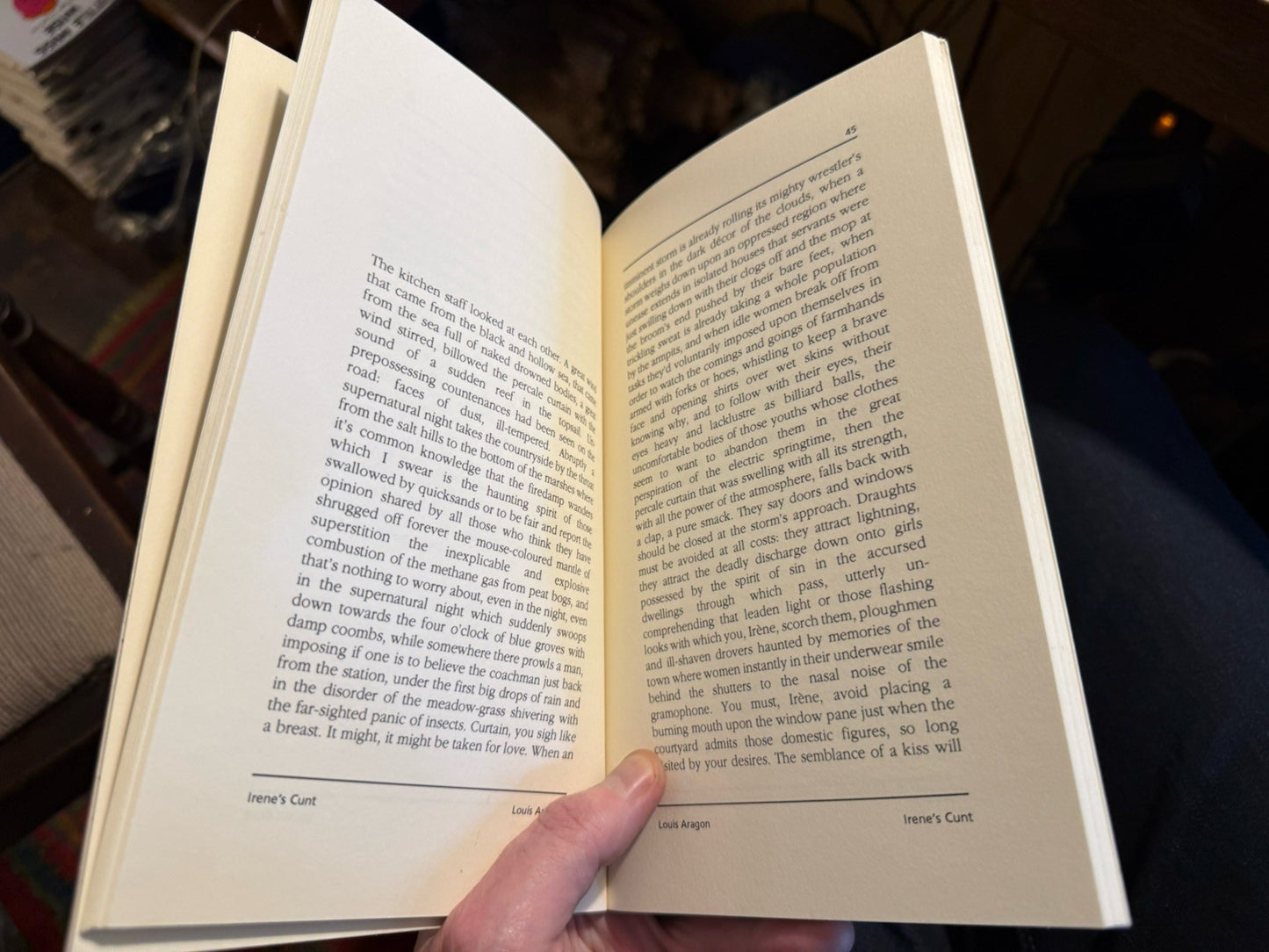Louis Aragon : Irene's C**t : Erotic Novel : Surrealist Erotica