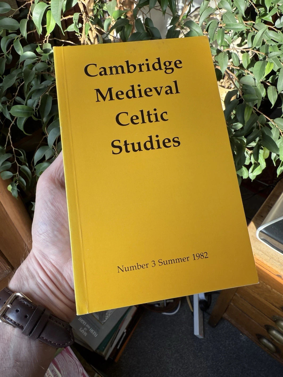 Cambridge Medieval Celtic Studies : Irish Royal Sites : Arthur in Gaelic Traditi