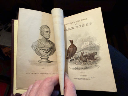 1834 Jardine Natural History of Game Birds : 30 Hand Coloured Plates : Grouse