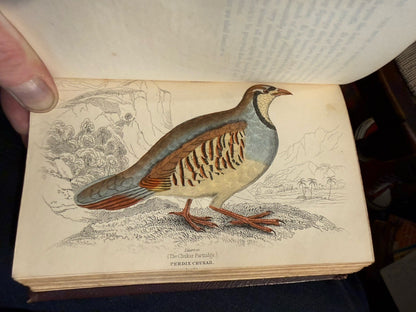 1834 Jardine Natural History of Game Birds : 30 Hand Coloured Plates : Grouse