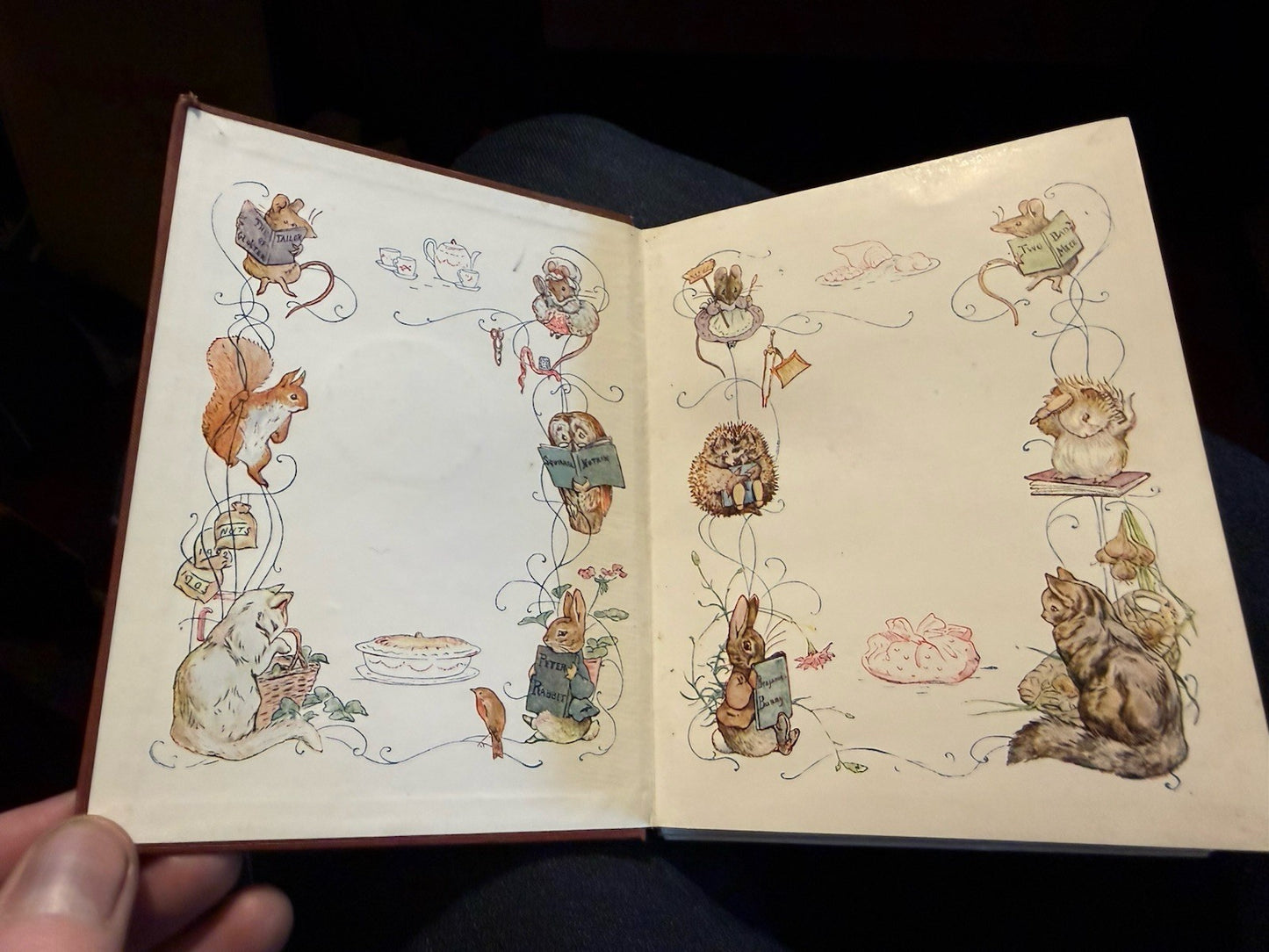 Beatrix Potter : The Tale of Jeremy Fisher : Deluxe Variant Cloth 1906