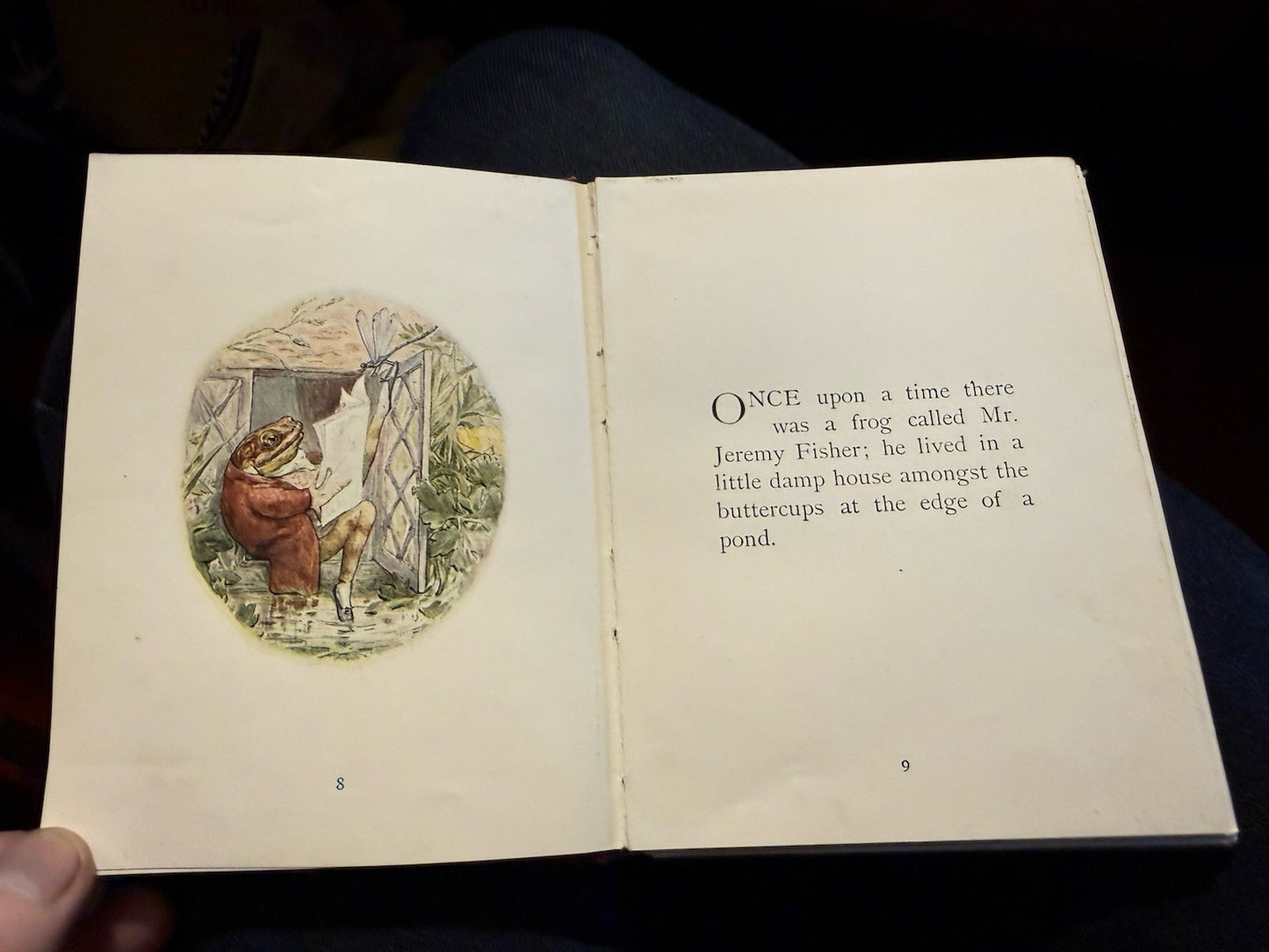 Beatrix Potter : The Tale of Jeremy Fisher : Deluxe Variant Cloth 1906