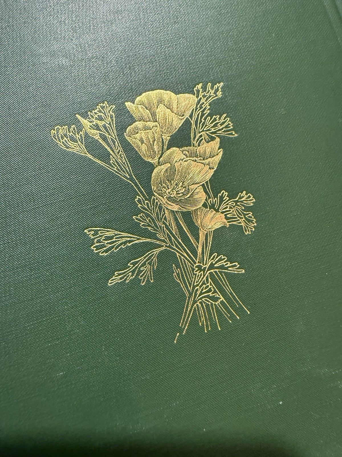 The Writings of John Muir (10 Volumes) 1916-24 : Scots American Naturalist