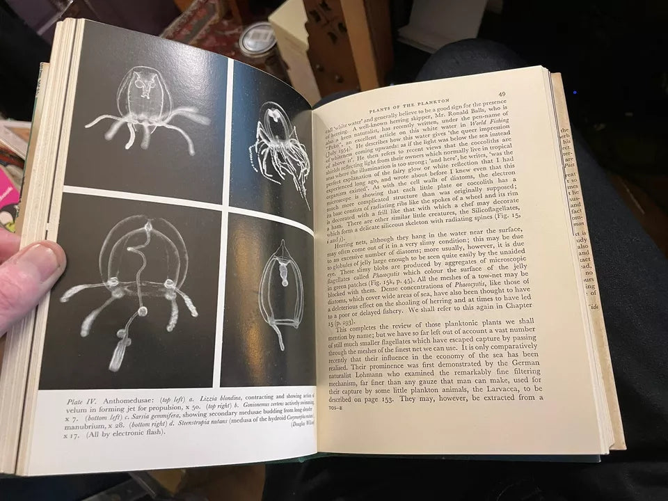 New Naturalist (NN) No 34 & 37 : The Open Sea : Sir Alister Hardy