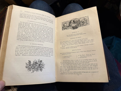 Things a Lady Would Like to Know : Victorian Women's Book / Recipes c1875