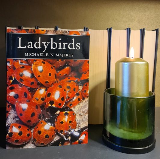 Ladybirds, M. Majerus: British Insects: Beetles: Entomology