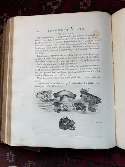 1789 Lavater's Essays on Physiognomy (3 Vols) Psuedo Science : 800+ Engravings