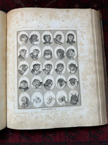 1789 Lavater's Essays on Physiognomy (3 Vols) Psuedo Science : 800+ Engravings