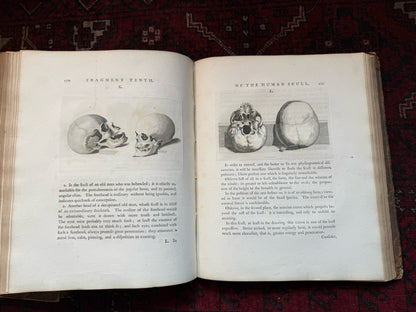 1789 Lavater's Essays on Physiognomy (3 Vols) Psuedo Science : 800+ Engravings