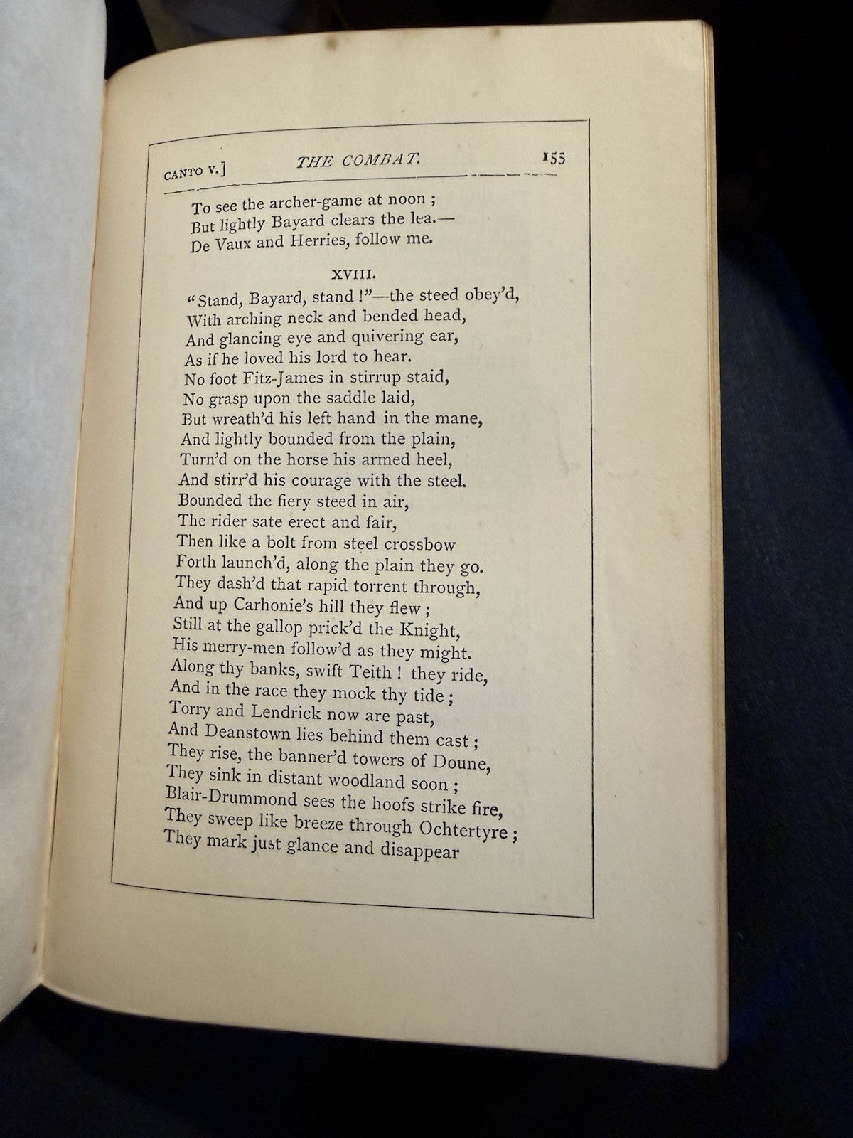 Lady of the Lake : Sir Walter Scott : Mauchline Binding : Wooden Boards 1874