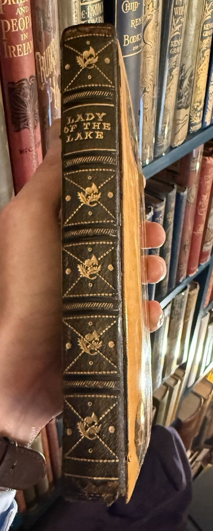 Lady of the Lake : Sir Walter Scott : Mauchline Binding : Wooden Boards 1874