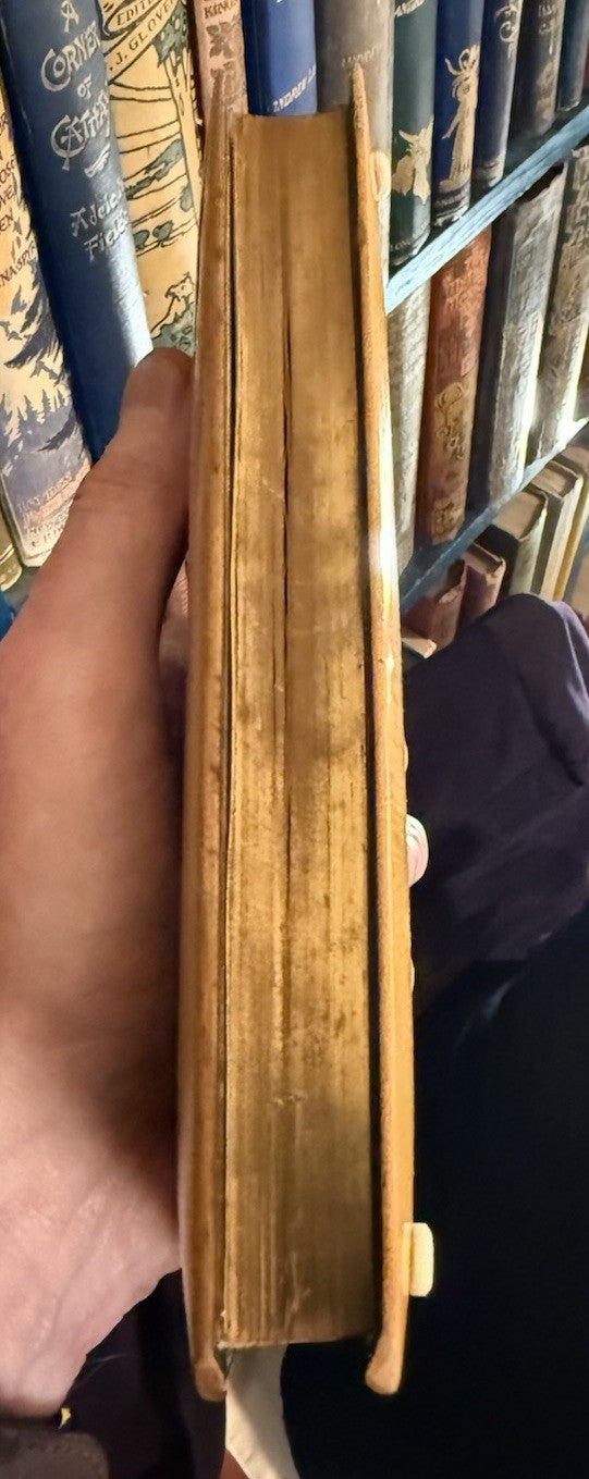 Lady of the Lake : Sir Walter Scott : Mauchline Binding : Wooden Boards 1874