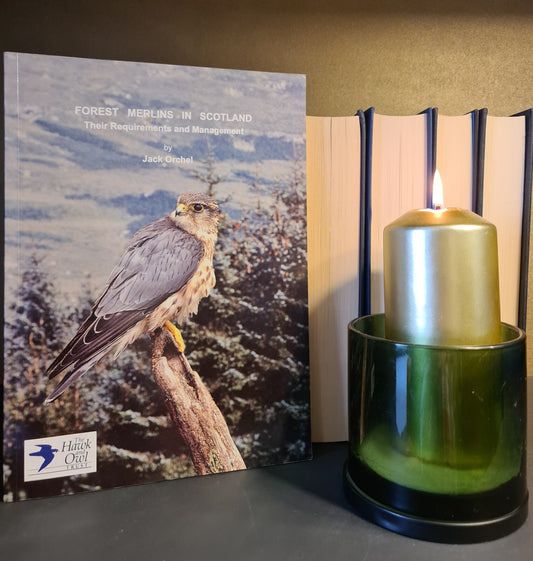 Forest Merlins in Scotland, J. Orchel: 1st Ed: Scottish Wildlife: Ornithology