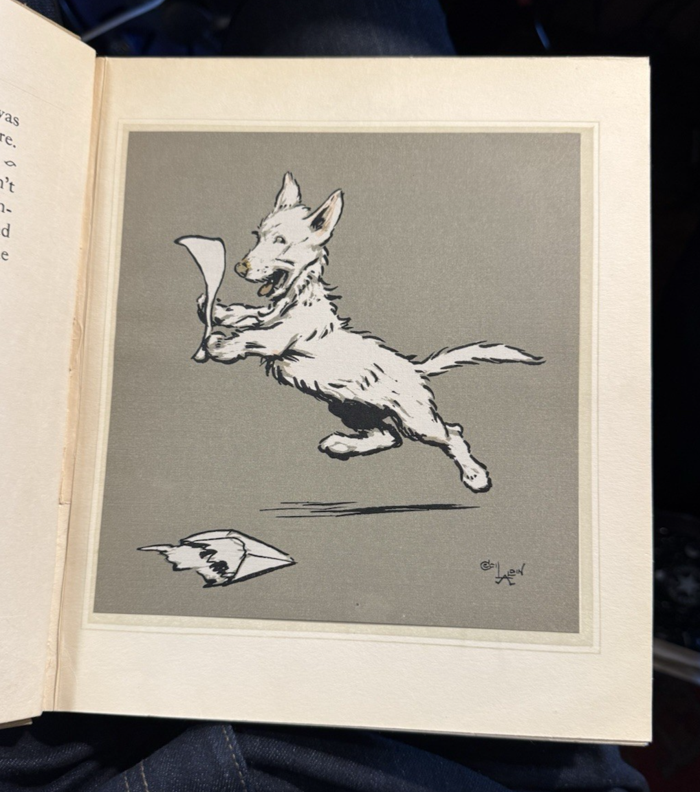 Cecil Aldin's Merry Party : Anthropomorphic Pigs, Dogs, Cats : Scarce 1st Ed