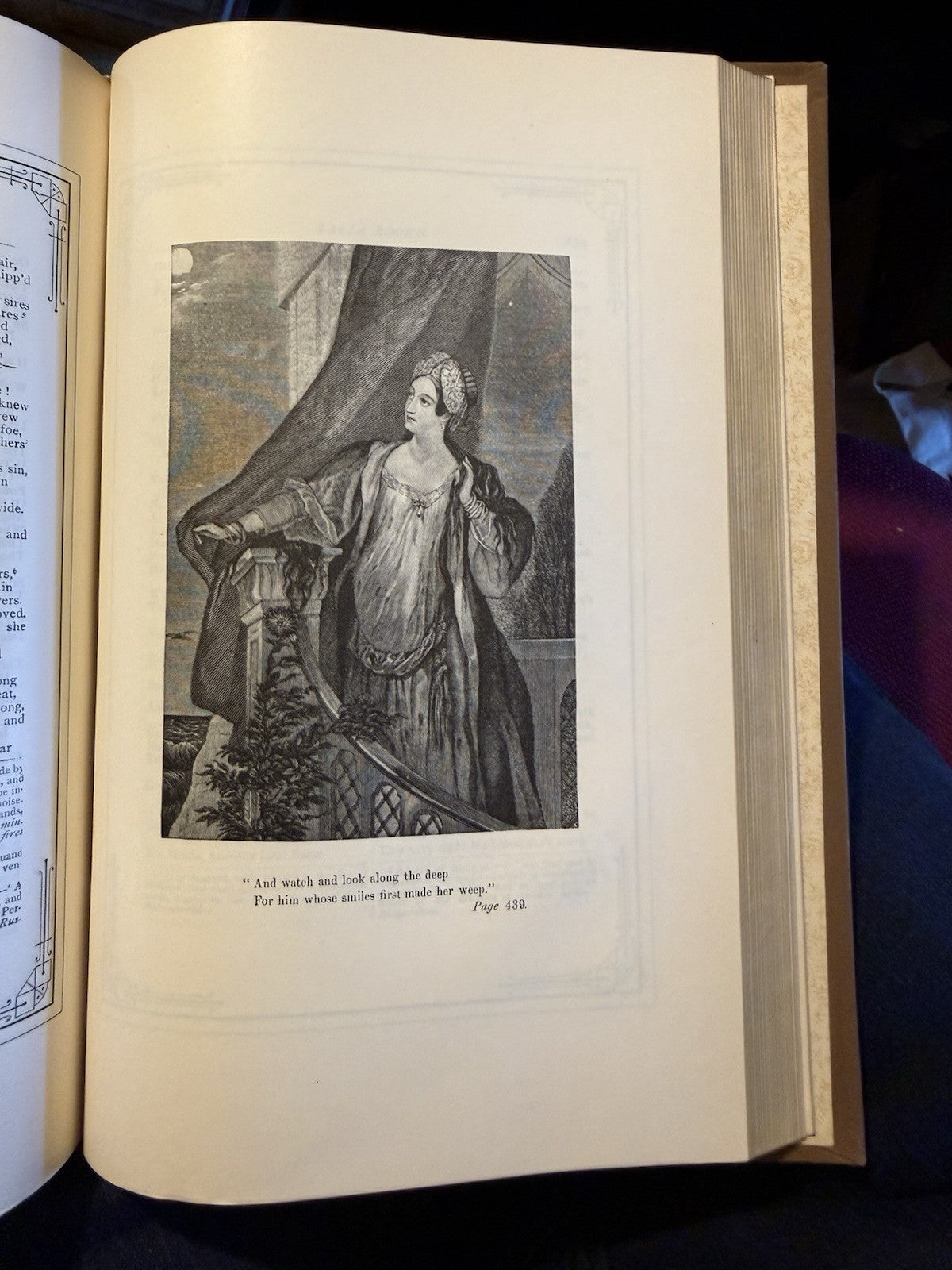 1888 The Poetical Works of Thomas Moore : Illustrated : Decorative Cloth Binding