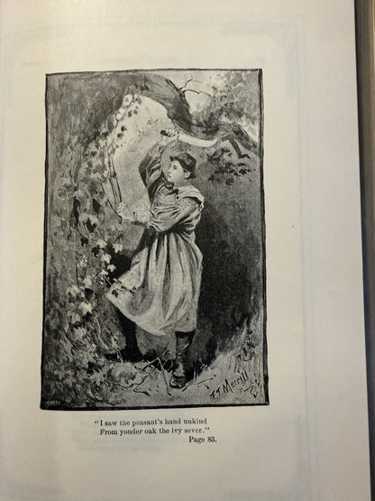 1888 The Poetical Works of Thomas Moore : Illustrated : Decorative Cloth Binding