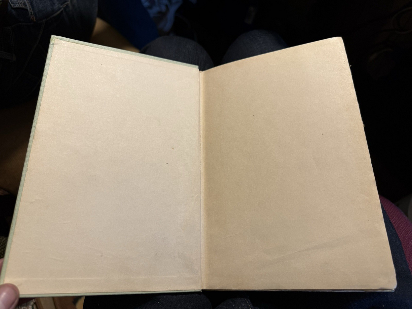1900 The Three Muskateers : Alexandre Dumas : "Green Room Edition"