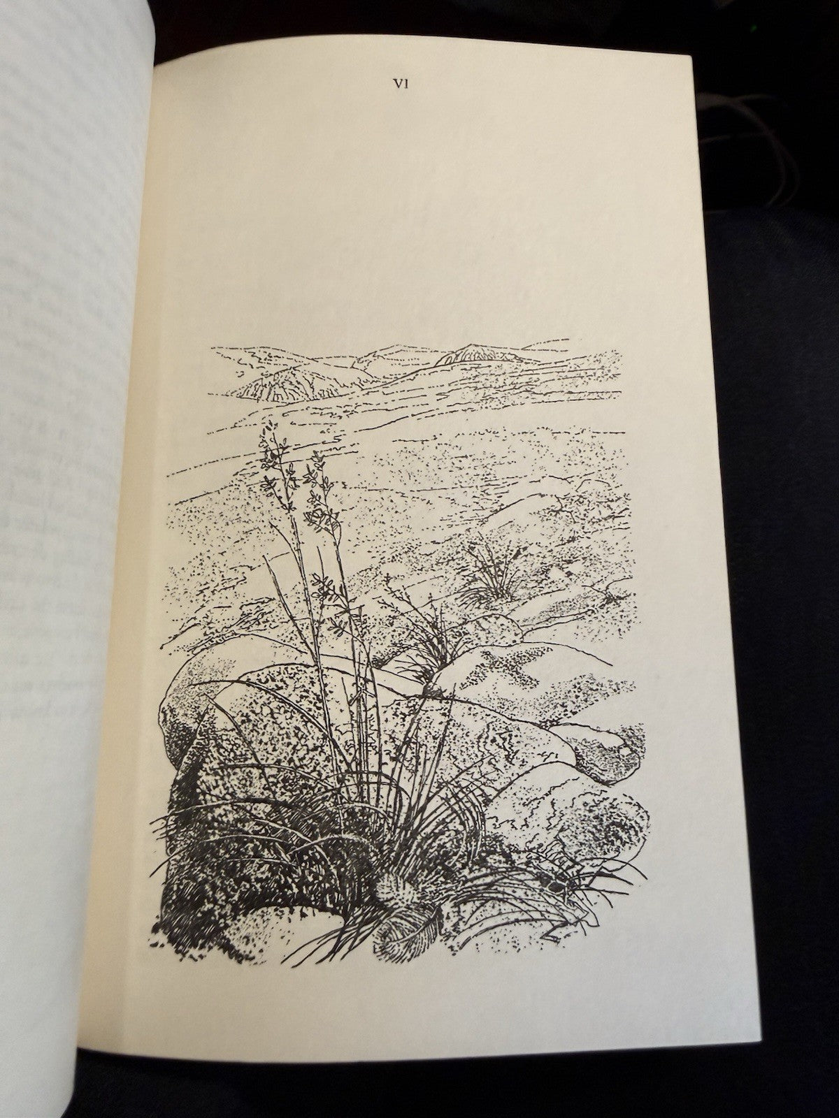 Nan Shepherd : The Living Mountain : Cairngorm Mountains : 1st/1st 1977
