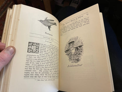 1900 Gilbert White : Natural History of Selborne : Illus by Edmund H. New
