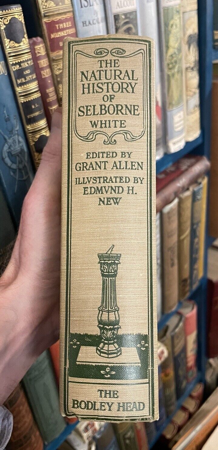 1900 Gilbert White : Natural History of Selborne : Illus by Edmund H. New