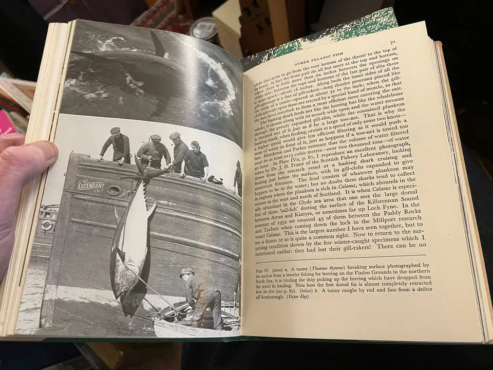 New Naturalist (NN) No 34 & 37 : The Open Sea : Sir Alister Hardy