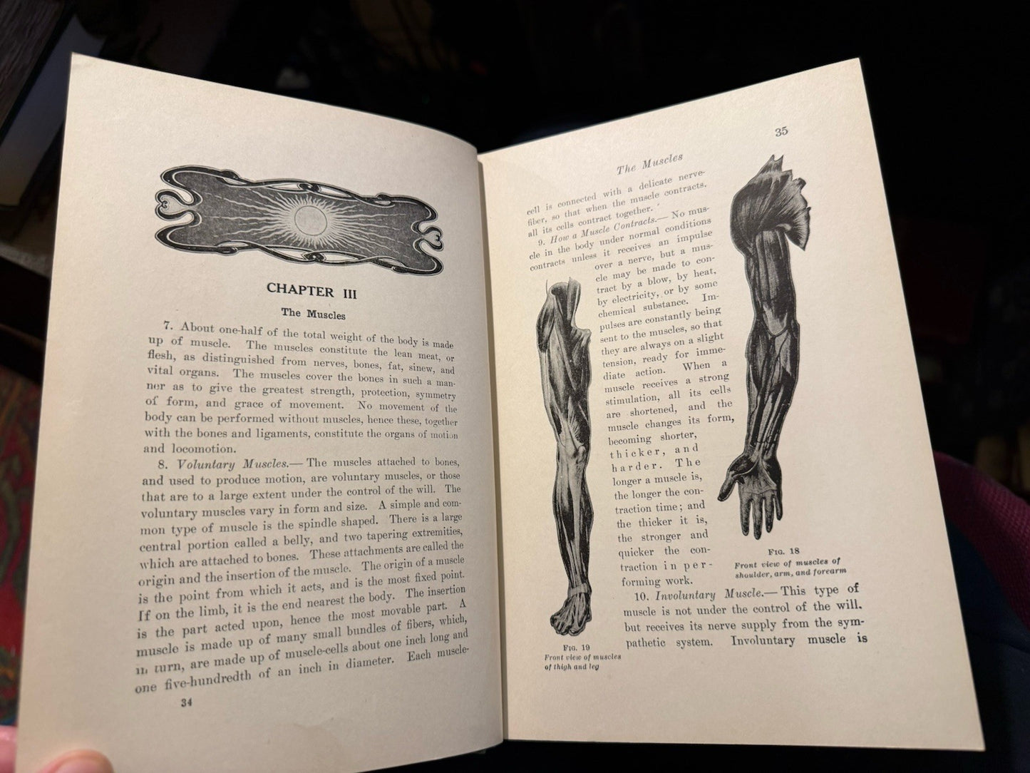 The Practical Guide to Health : Anatomy, Physiology for Nurses & Home