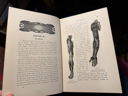 The Practical Guide to Health : Anatomy, Physiology for Nurses & Home