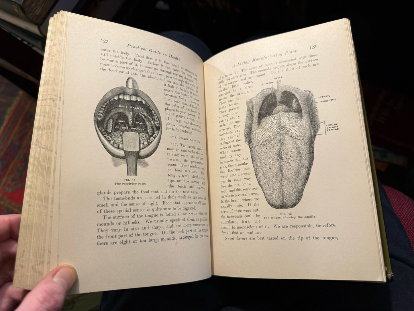The Practical Guide to Health : Anatomy, Physiology for Nurses & Home