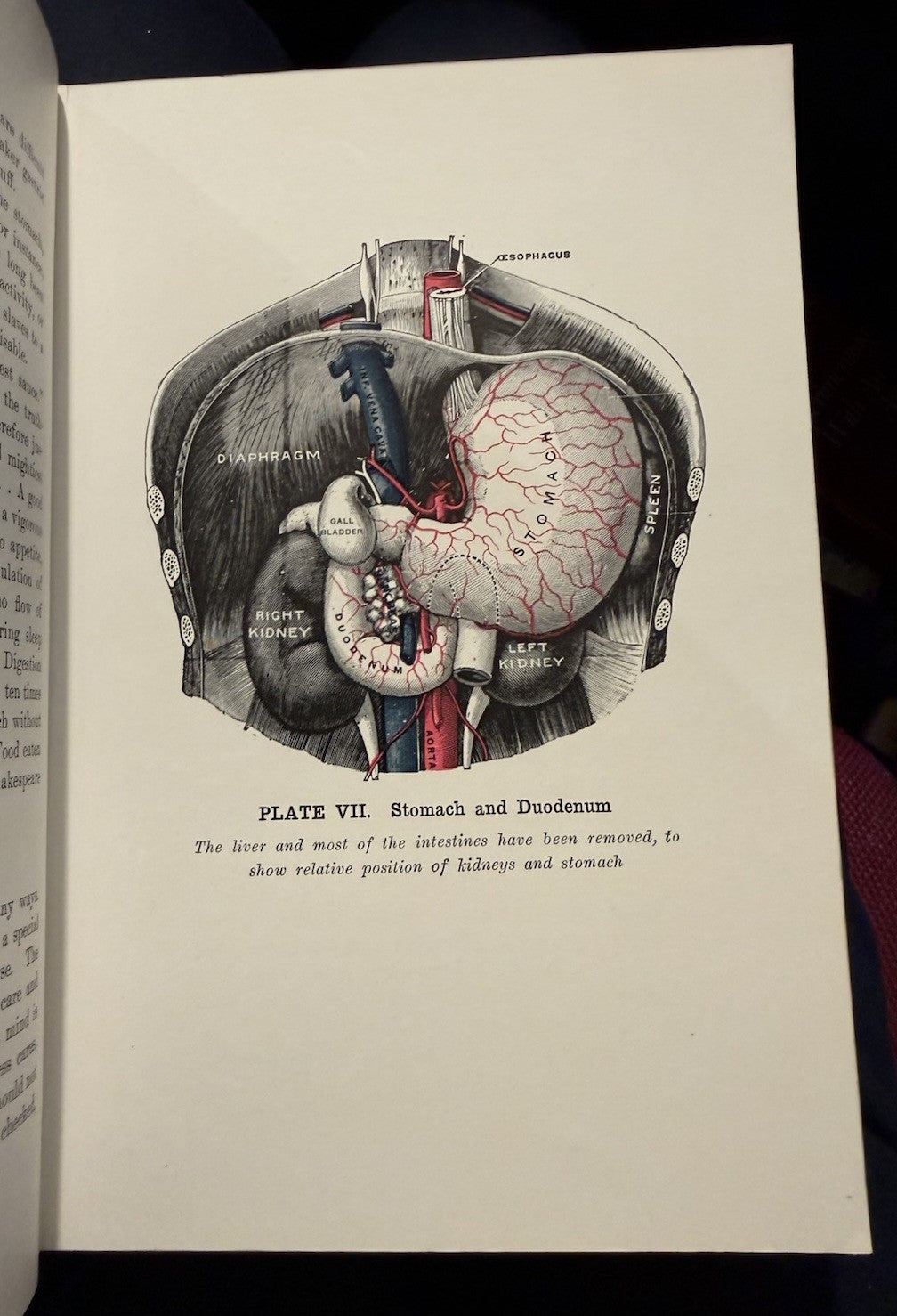 The Practical Guide to Health : Anatomy, Physiology for Nurses & Home