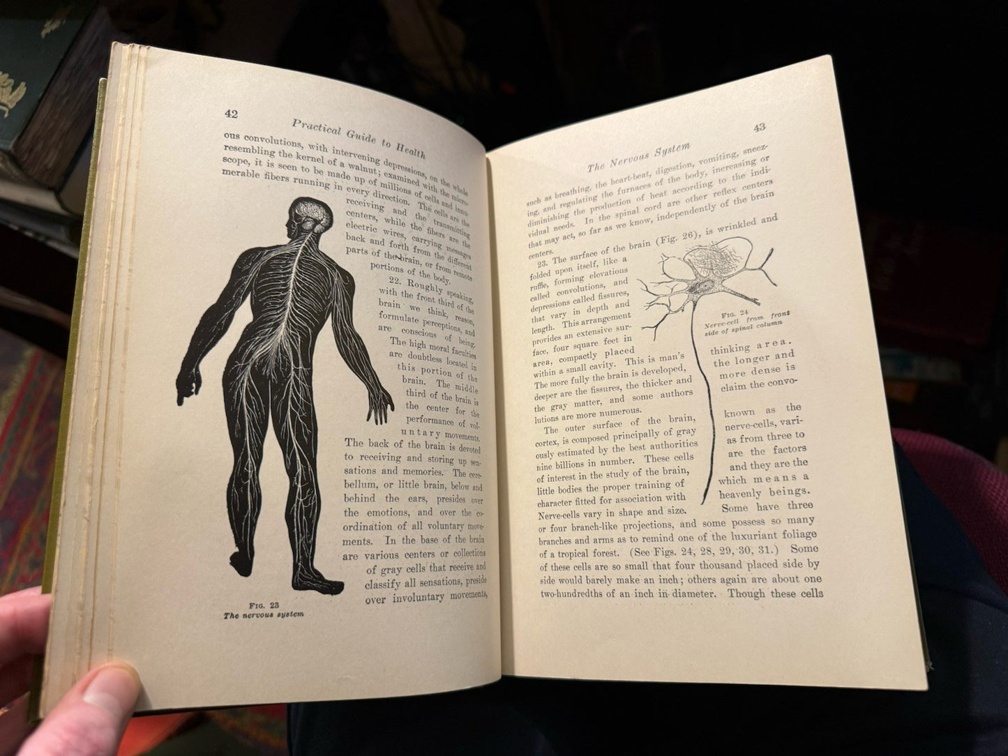 The Practical Guide to Health : Anatomy, Physiology for Nurses & Home