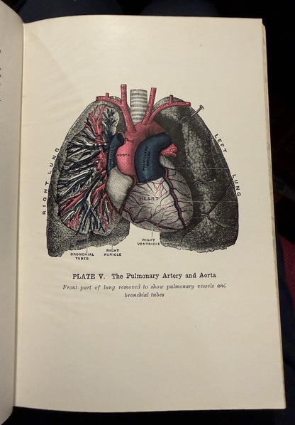 The Practical Guide to Health : Anatomy, Physiology for Nurses & Home