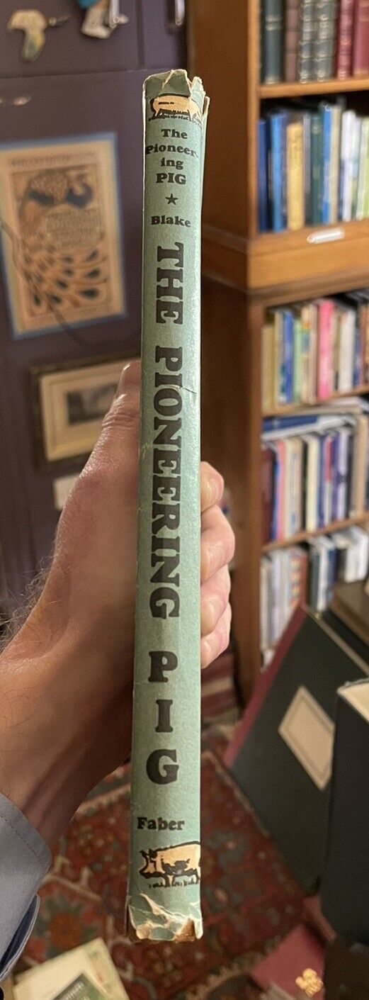 The Pioneering Pig : Norman Blake : Home Pig Farming : The Sow : Feeding 1951