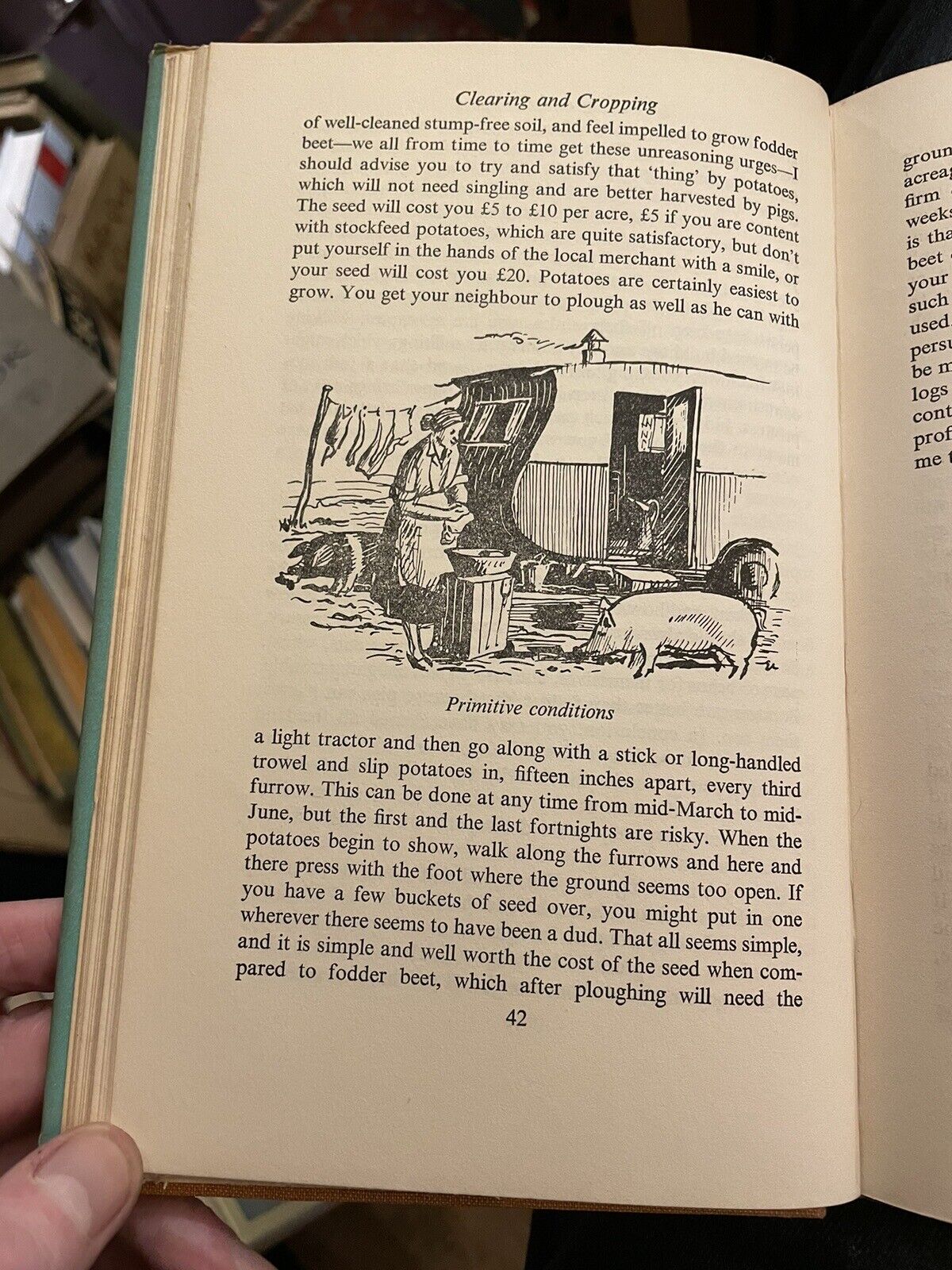 The Pioneering Pig : Norman Blake : Home Pig Farming : The Sow : Feeding 1951