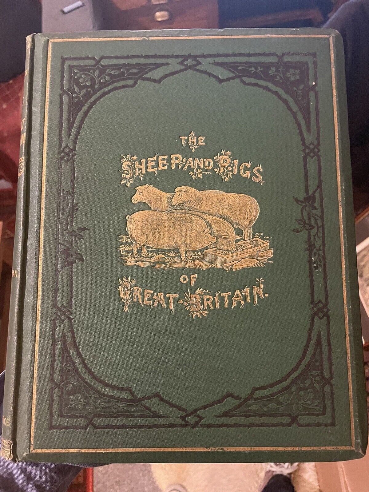 The Sheep and Pigs of Great Britain : Edited by J. Coleman : First Edition 1877