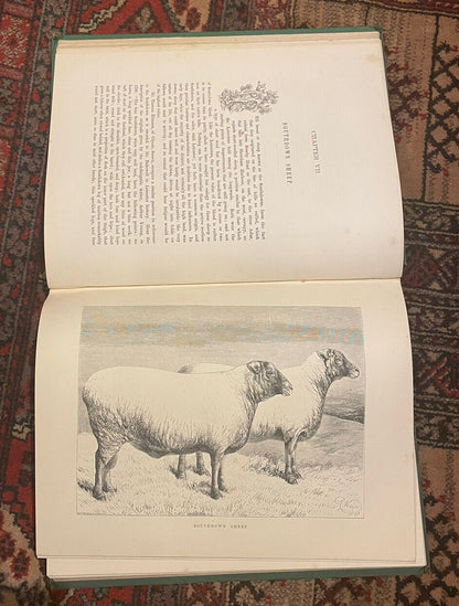 The Sheep and Pigs of Great Britain : Edited by J. Coleman : First Edition 1877