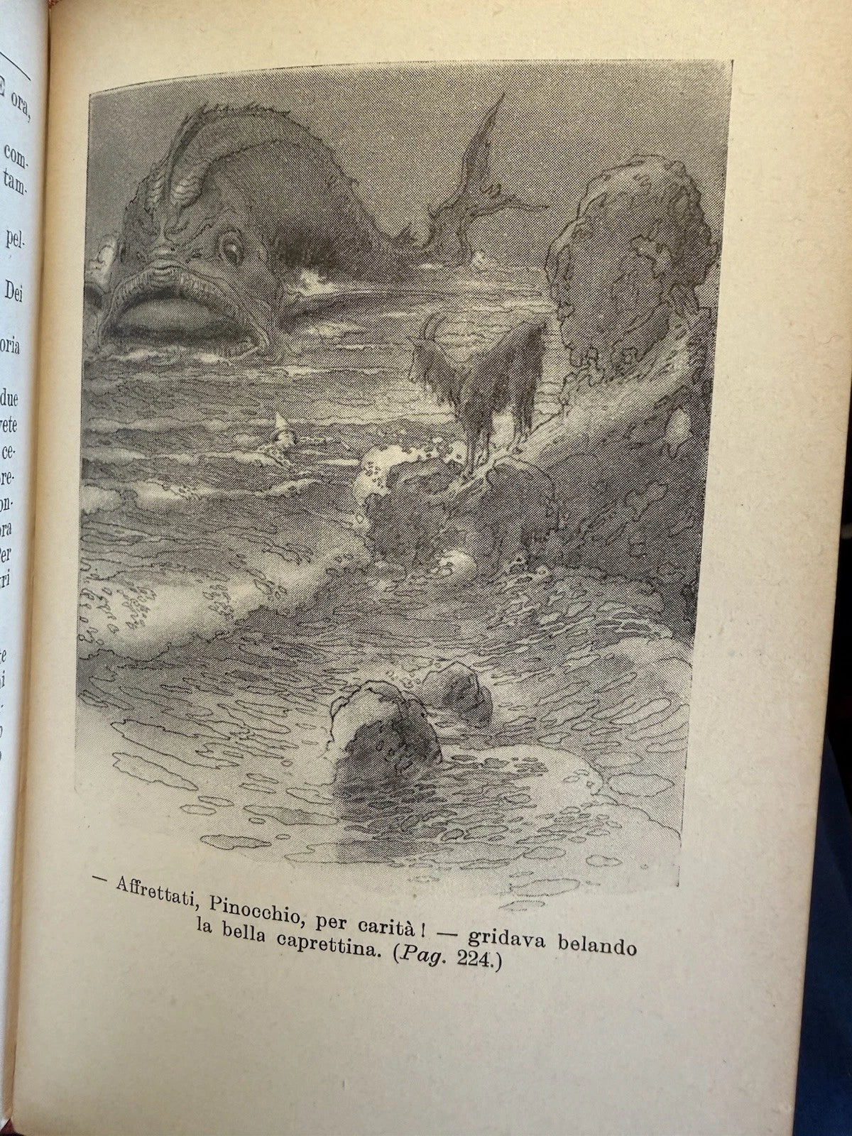 Le Avventure di Pinochio : C. Collodi : Illustrated Italian Edition 1927
